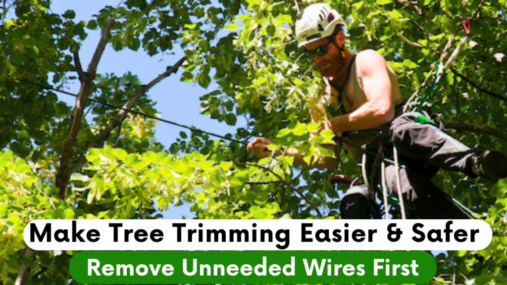 Man in tree branches, pruning a tree with telecom wire among the branches. Plus text.