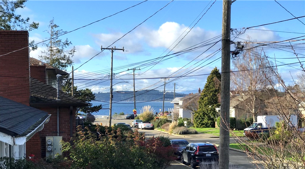 Photo of overhead telecom wires cluttering the sky in a residential street in Seattle